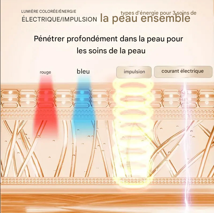 Appareil Radiofréquence RF & EMS - Lifting Visage Anti-Âge Professionnel